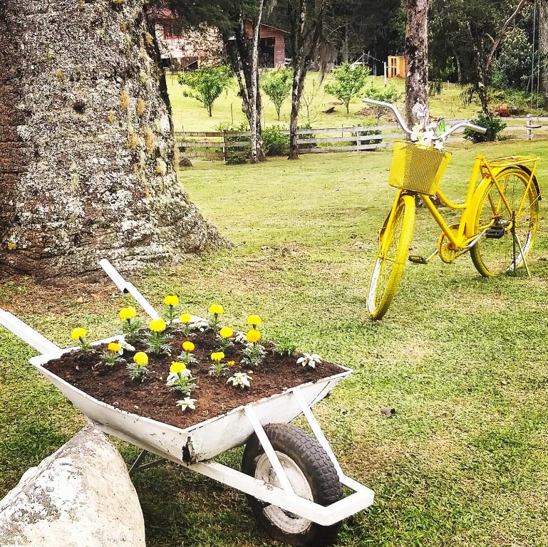  Magia das Hortênsias