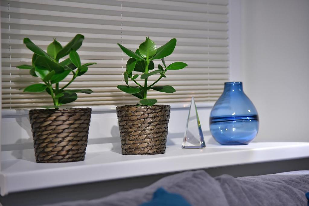 Apartamenty Sjesta River blisko centrum, prywatny parking, dodatkowy bezplatny parking w centrum miasta - 12