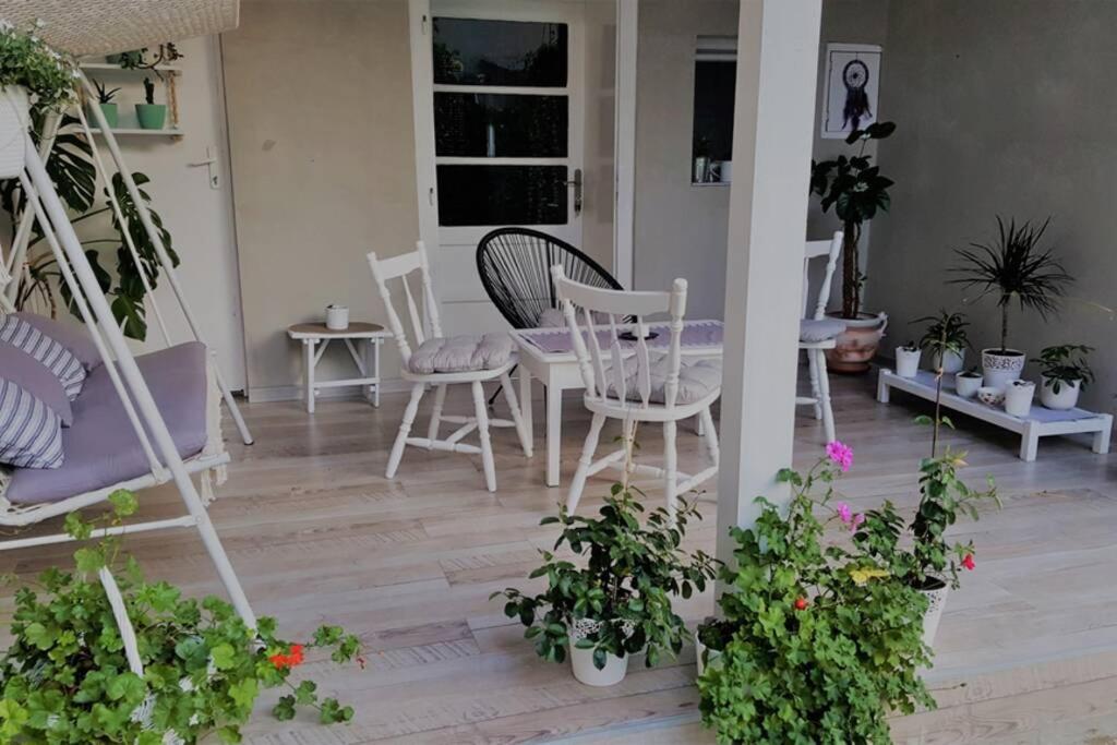Habitación con sillas, mesa y algunas plantas en Cozy apartment in Kikinda, en Kikinda