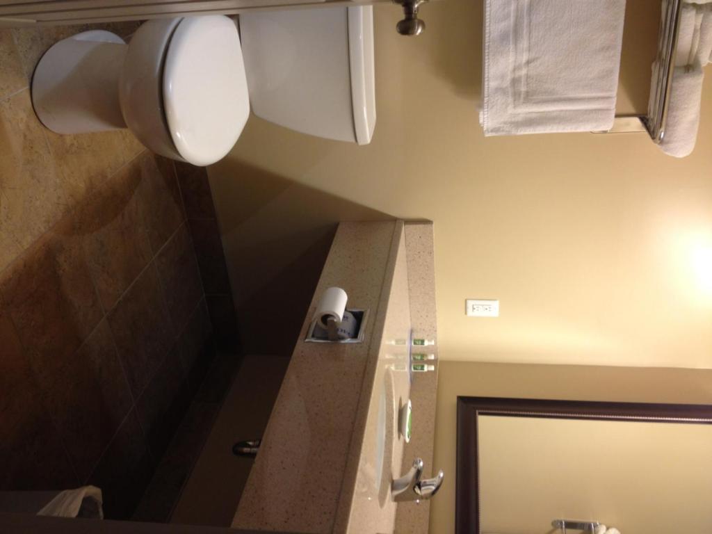 Quality Inn & Suites - Business King Room