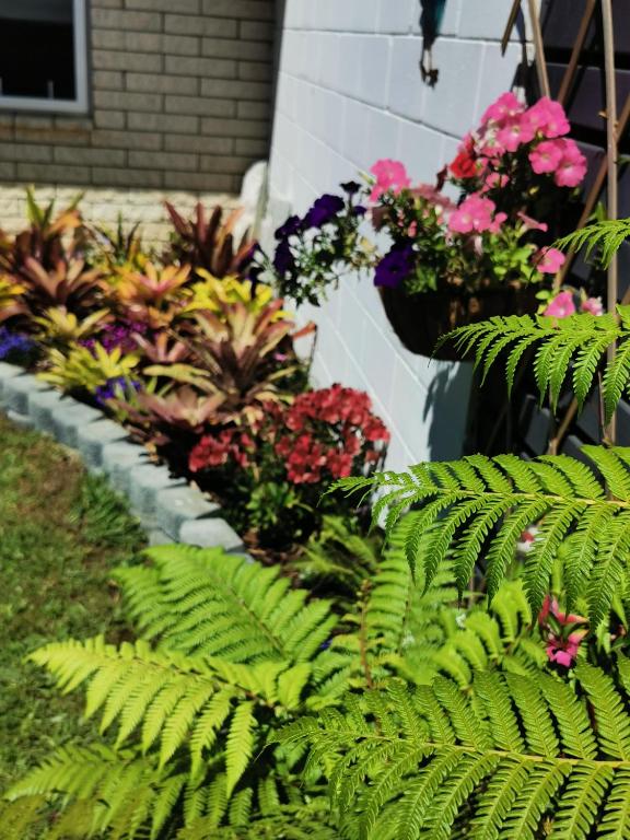 Kerikeri Sunny Modern 2 Bedroom Apartments - Resim 28