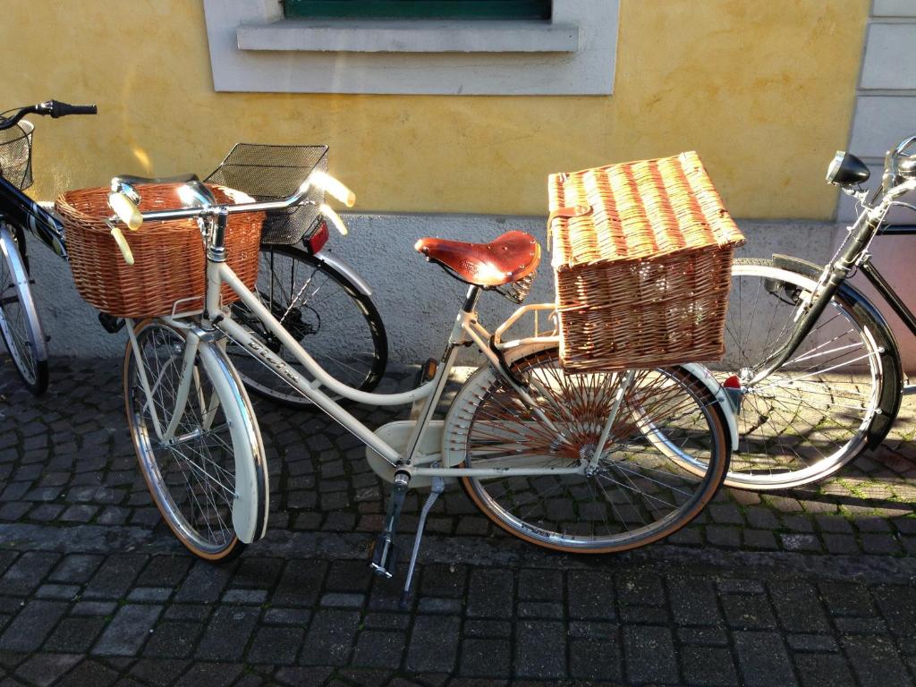 Jízda na kole v ubytování San Clemente nebo okolí