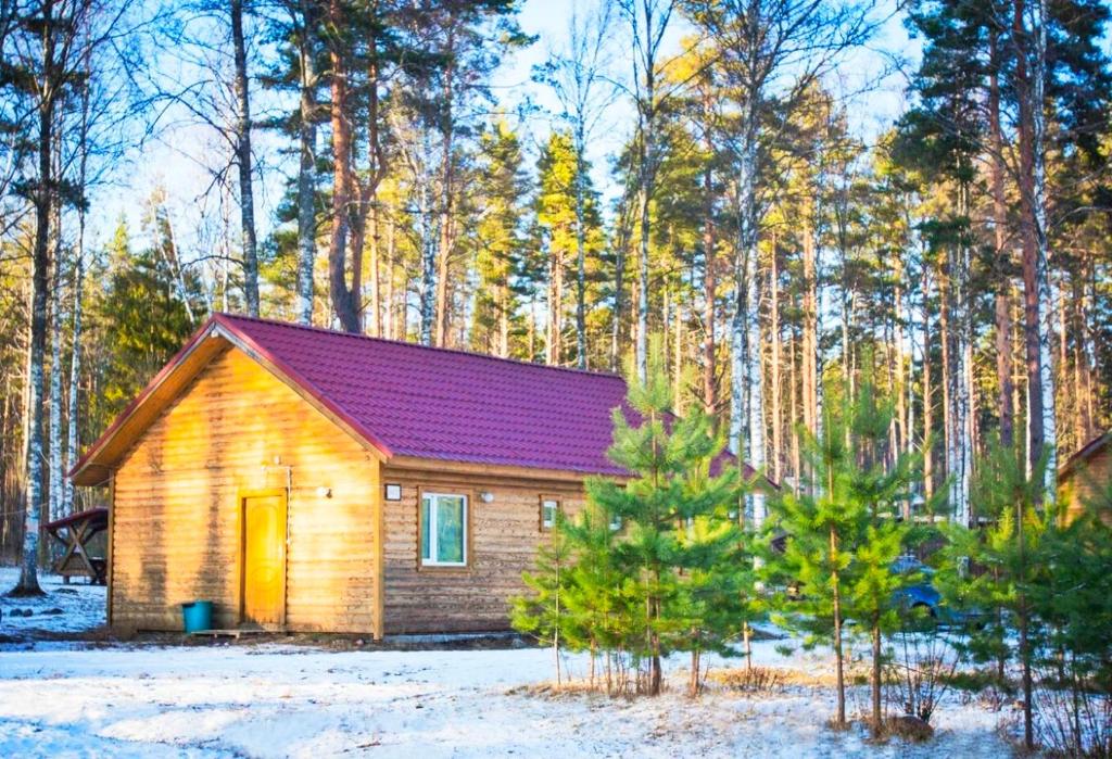 een kleine houten hut midden in een bos bij Baza otdikha Yunost in Losevo