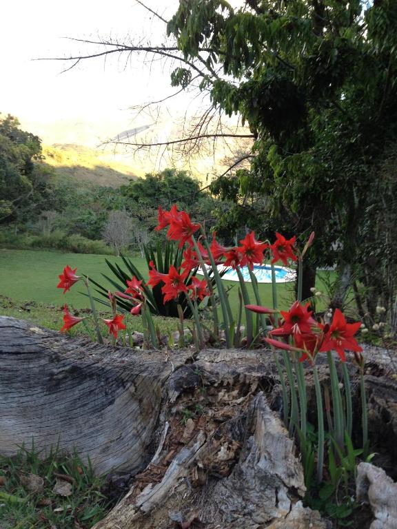  Fazenda Santa Fé