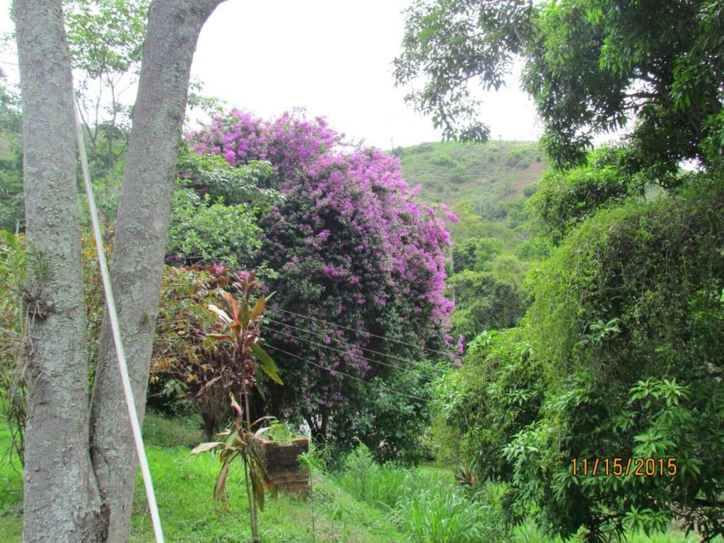  Fazenda Santa Fé
