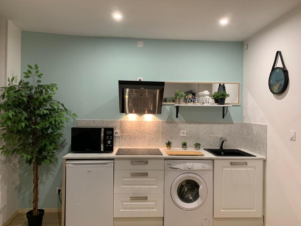 a kitchen with a sink and a washing machine at Sweet Discovery & Jungle in Bourges