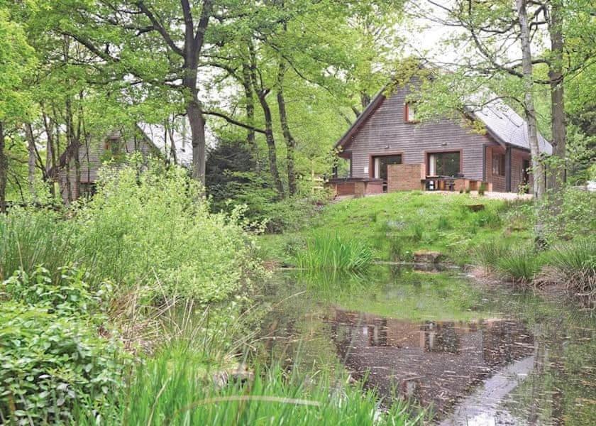 Ramshorn Estate Woodland Lodges, Oakamoor Updated 2023 Prices