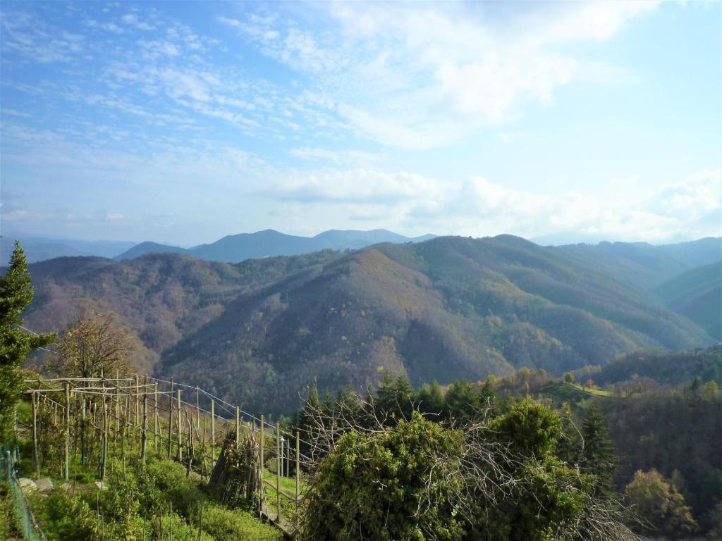 Blick auf eine Bergkette mit Bäumen und Bergen in der Unterkunft Casa Benera in Maissana