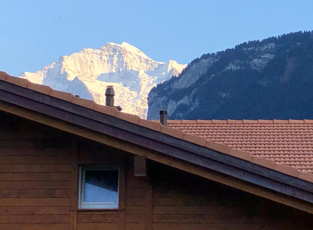 a roof of a house with a mountain in the background at S&P Mountain View Apartment 1 in Wilderswil