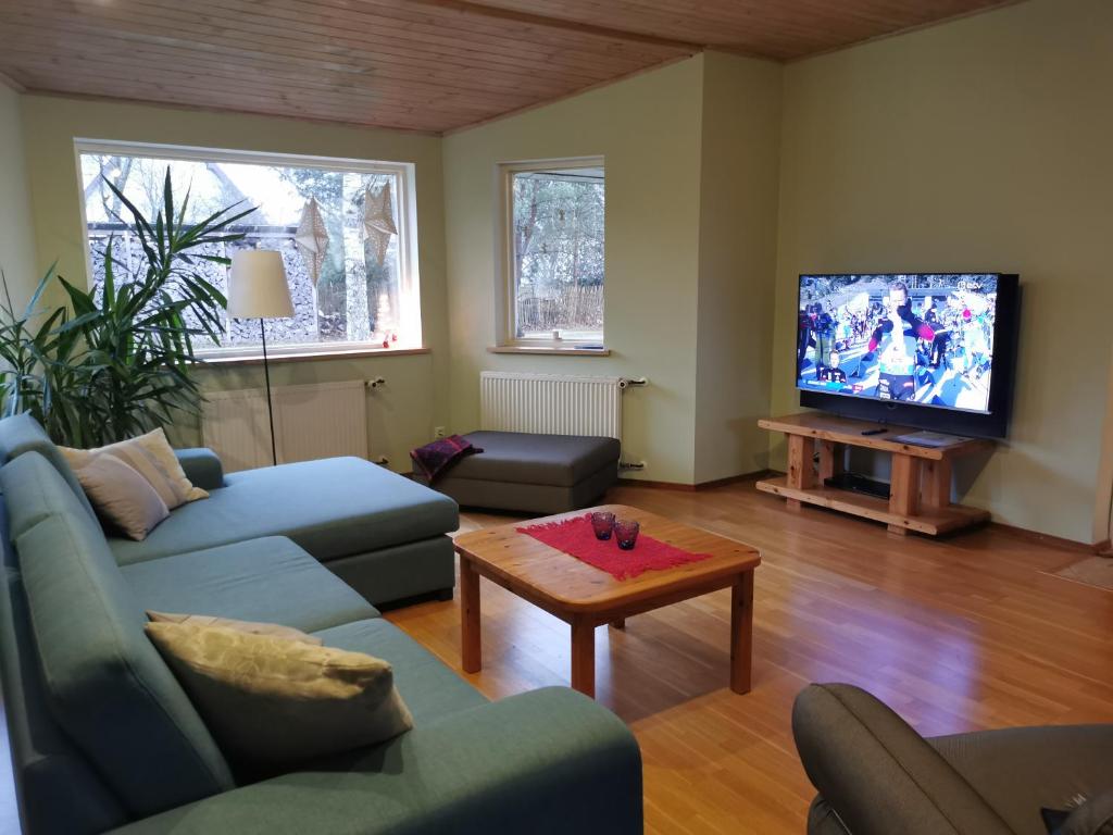 a living room with a couch and a tv at Kaare Guesthouse in Viljandi