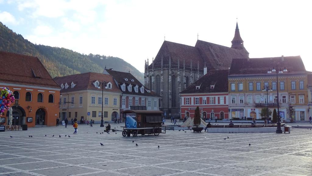a town square with buildings and birds on the ground at Casa Lais in Braşov