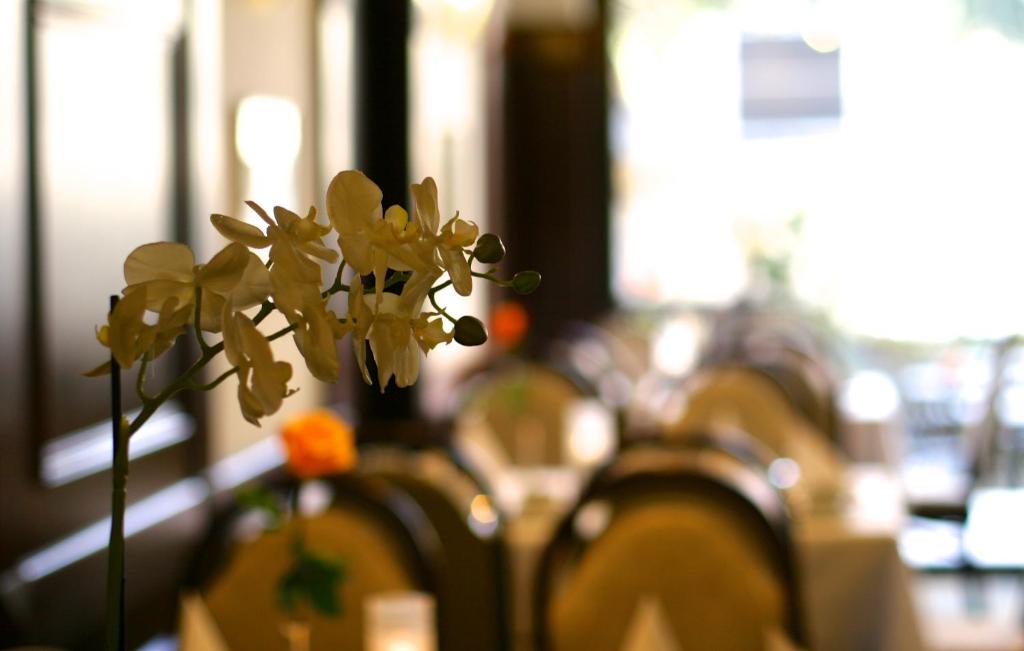 Hotel Imperial - Resim 35