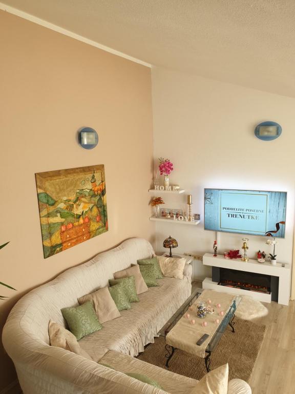 Televízia a/alebo spoločenská miestnosť v ubytovaní Apartmani Mlikotić