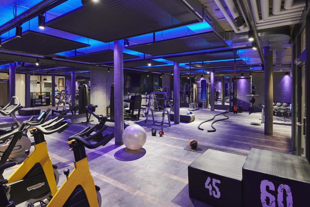 a gym with treadmills and exercise equipment in a building at SCHLOSS Zermatt - CBD & Adaptogenic Spa and Sport Hotel in Zermatt
