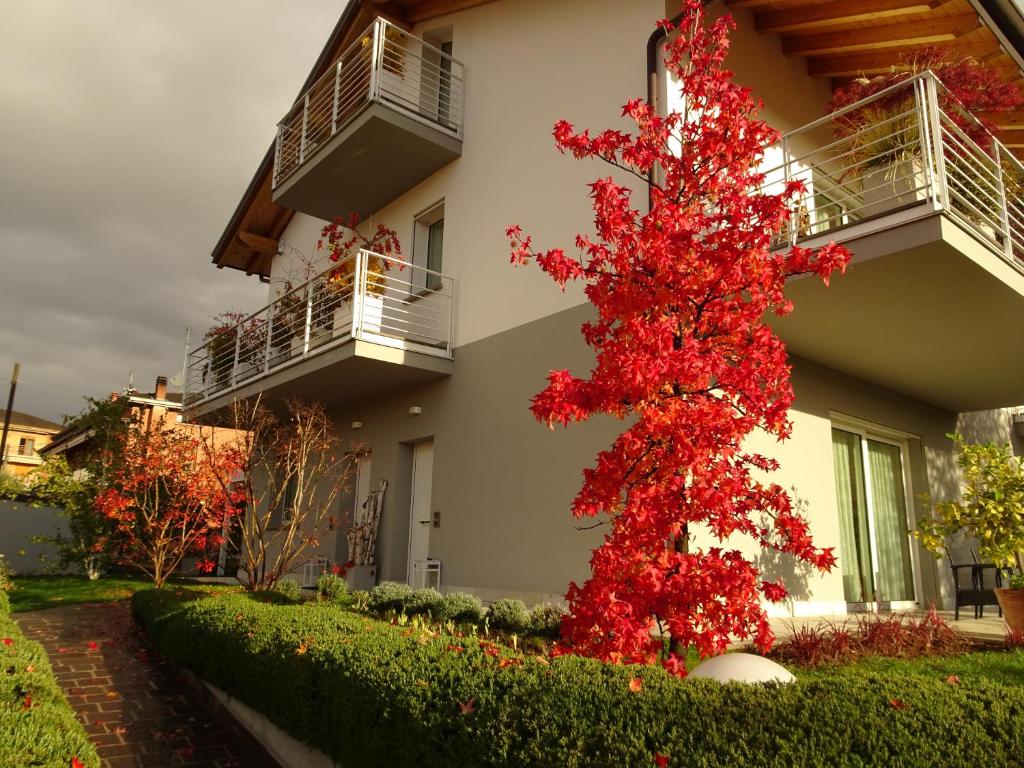 un árbol rojo frente a un edificio en CasaRò, en Albano SantʼAlessandro