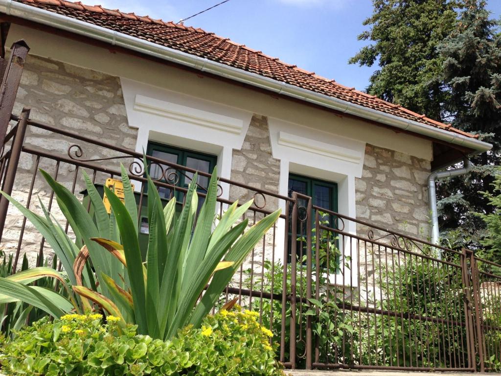 una casa con una puerta y una planta en Cziróka Vendégház en Tolcsva