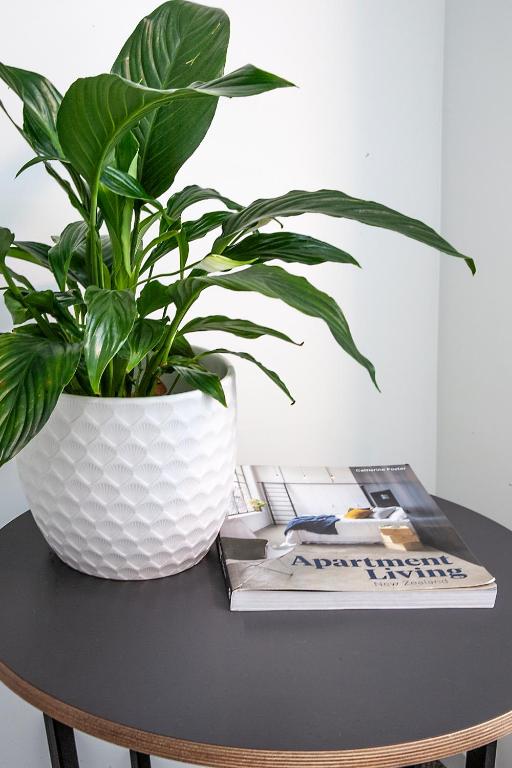 Sojourn Apartment Hotel - Riddiford - Resim 18