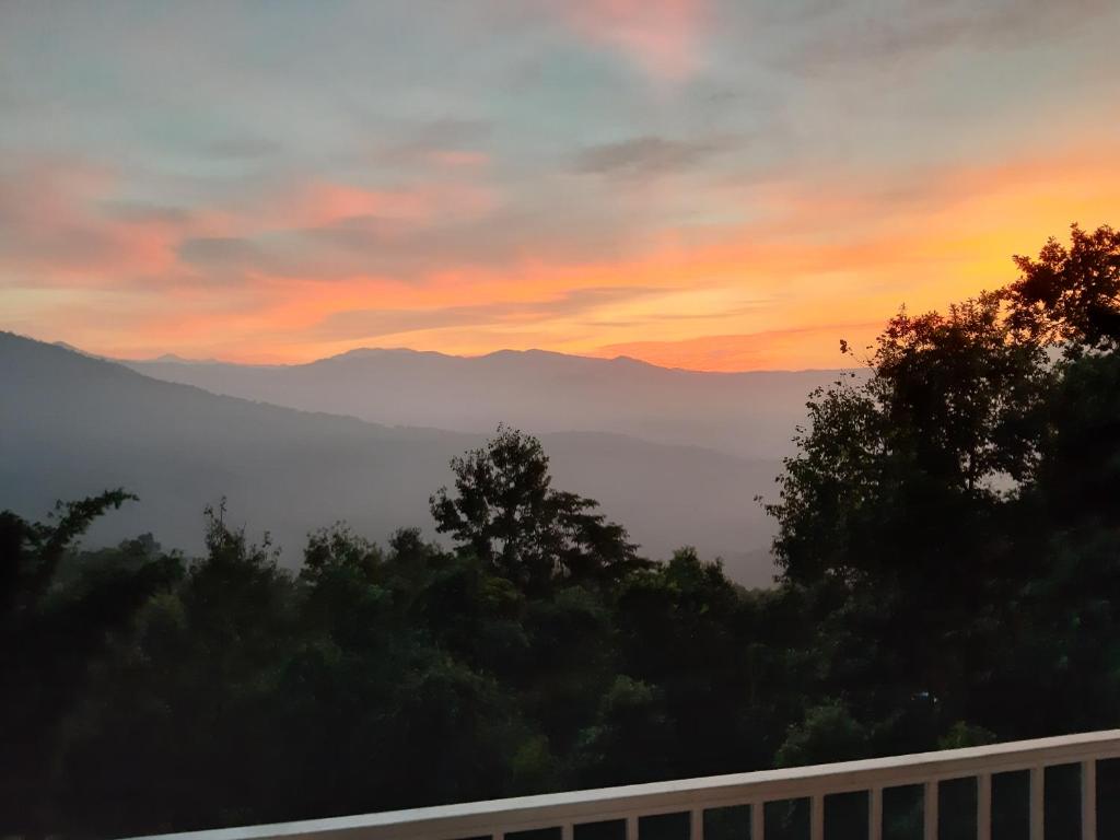 The Emerald Isle カリンポン 21年 最新料金