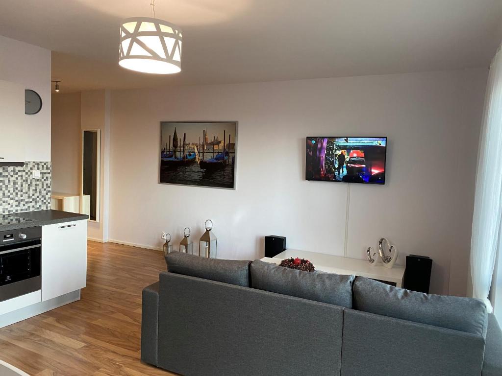 Televízia a/alebo spoločenská miestnosť v ubytovaní Apartament Wiewiórka