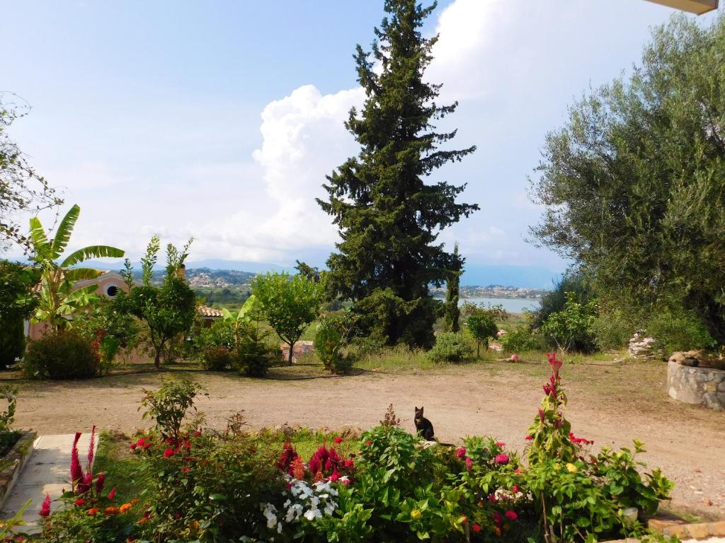 2 bedrooms house at Corfu 500 m away from the beach with lake view enclosed garden and wifi