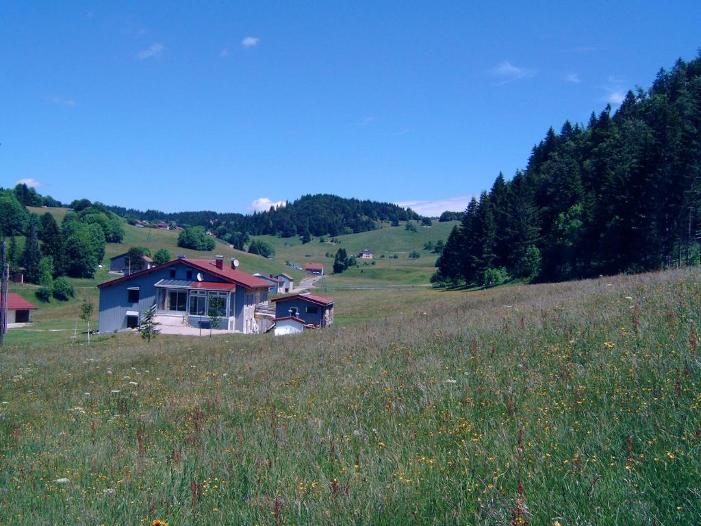 ein Haus auf einem Hügel auf einem Grasfeld in der Unterkunft Maison d'une chambre avec jardin amenage et wifi a Septmoncel in Septmoncel