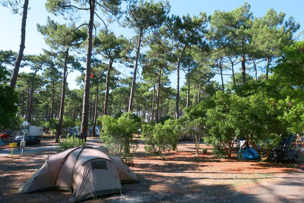 une tente dans un champ avec des arbres en arrière-plan dans l'établissement Camping Campéole Plage Sud - Maeva, à Biscarrosse