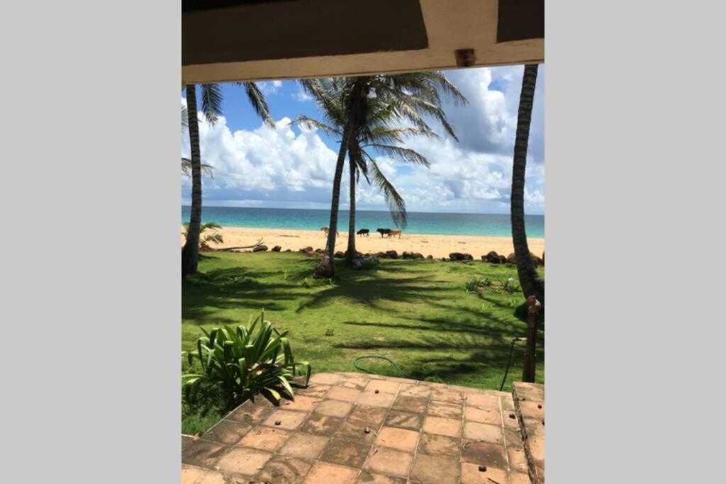 uma vista para a praia a partir do alpendre de uma casa em Coconut Castle at La Lodge at Long Bay em Big Corn Island