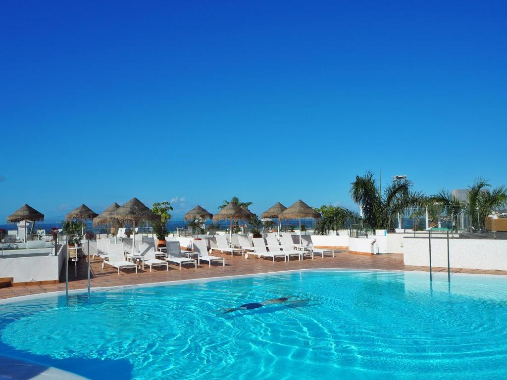 - une baignade pour un dauphin dans la piscine d'un complexe dans l'établissement Flamingo Beach Mate, à Adeje