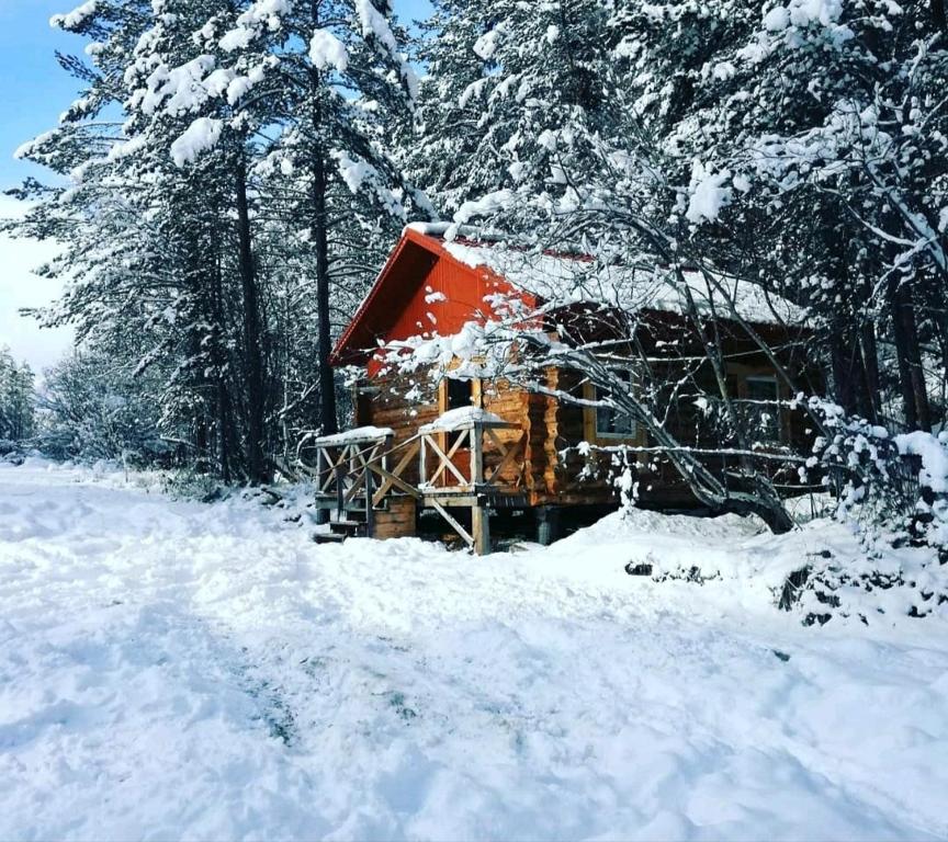 Forest House - Housity