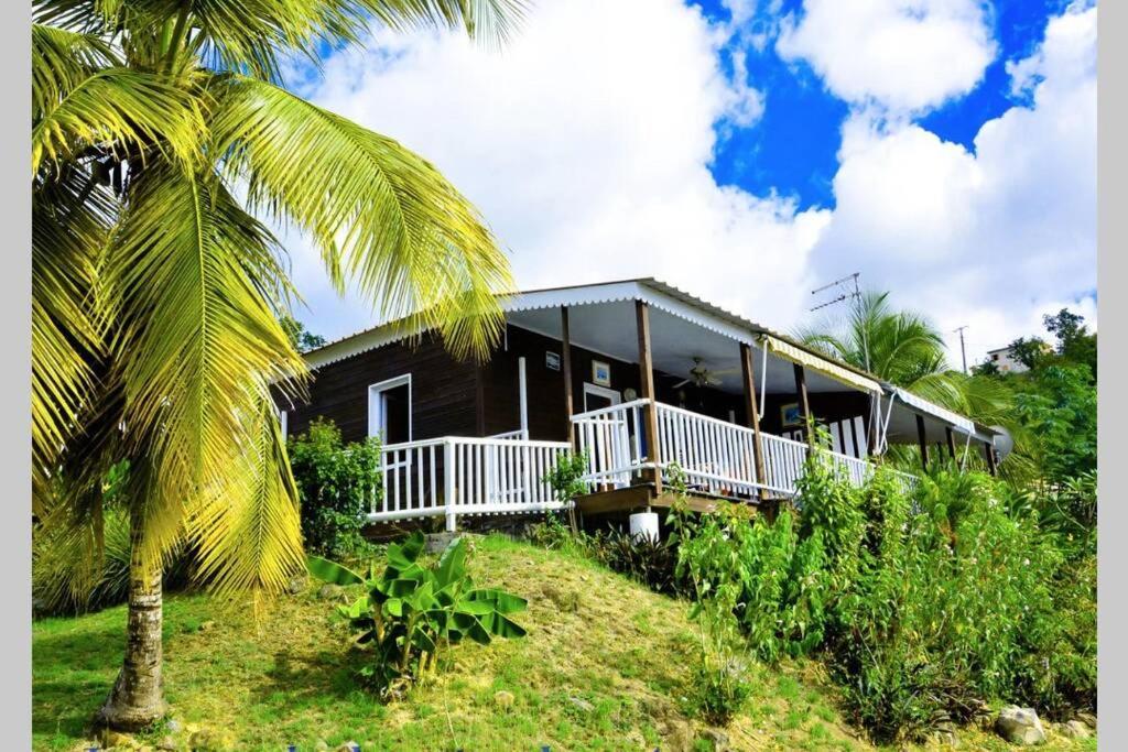 una casa en la cima de una colina con una palmera en Bungalow - Type F3 - plage de petite anse en Bouillante