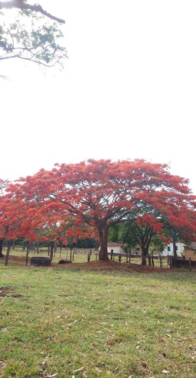  Recanto do nên