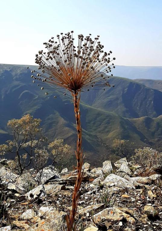  Pousada Pérola Mineira