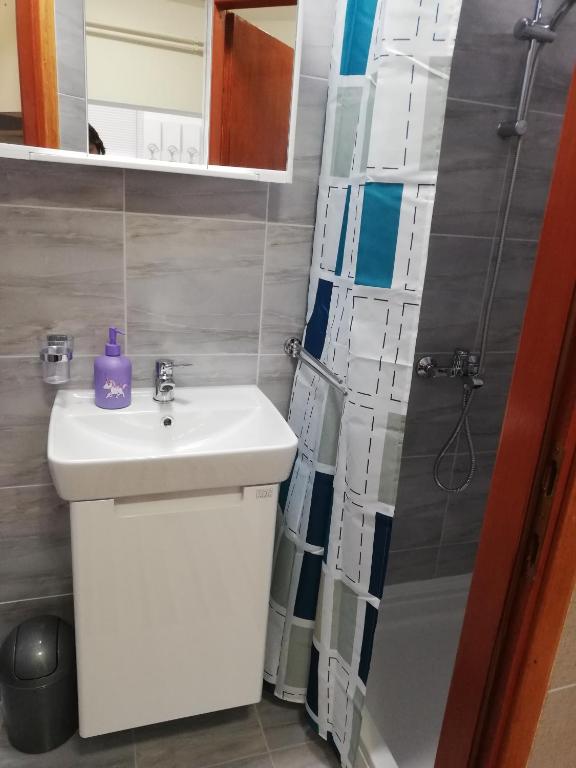 Studio apartman Small Lili - Appartement Met 1 Slaapkamer