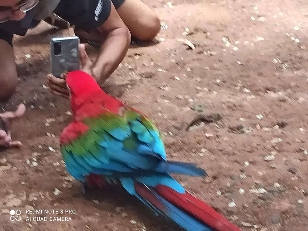  Pousada Bom Sono