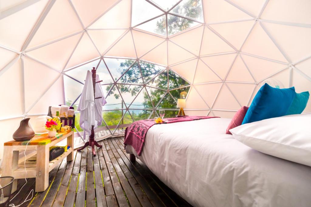 Salvia Glamping
