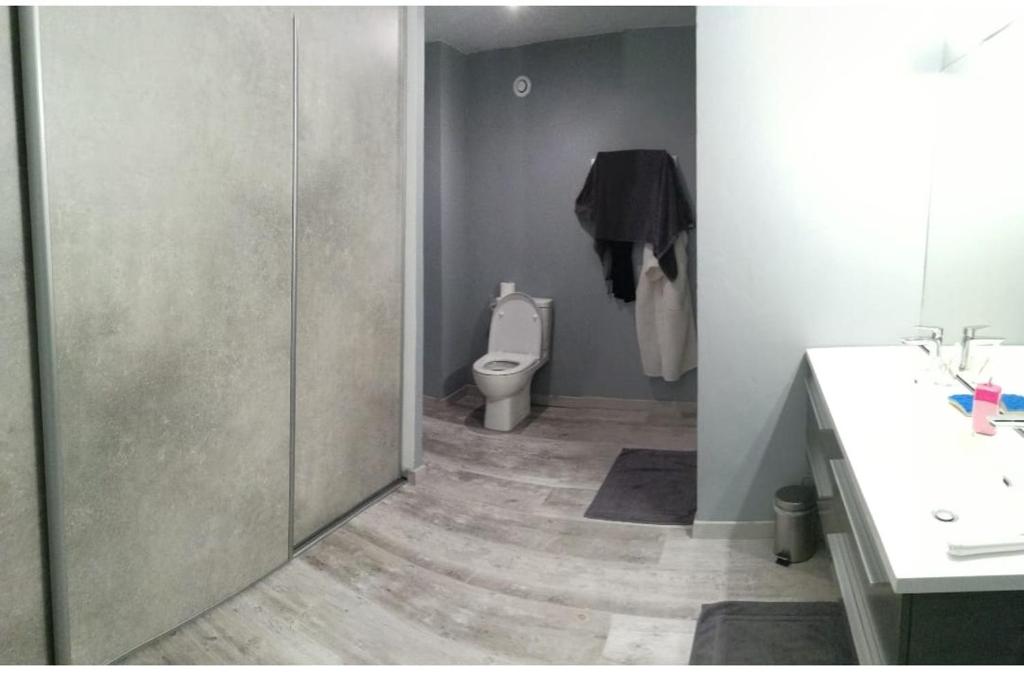 a bathroom with a toilet and a sink at Grand appartement près de la Cathédrale de Quimper in Quimper