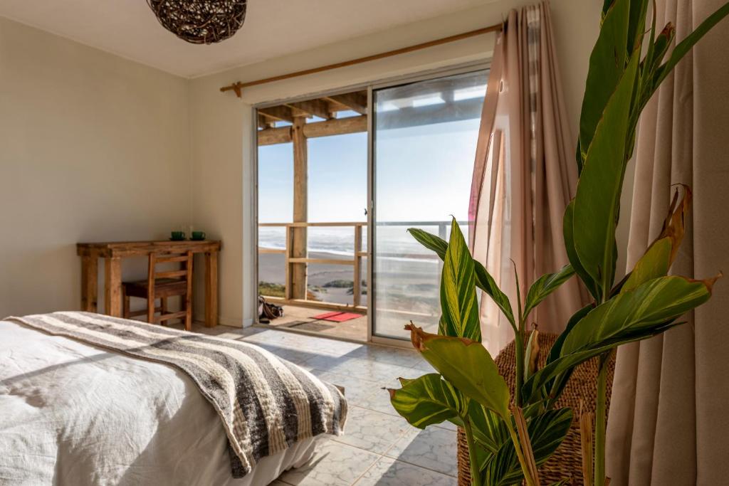 una camera con un letto e una pianta di fronte a una finestra di Sudeste Hostel a Pichilemu
