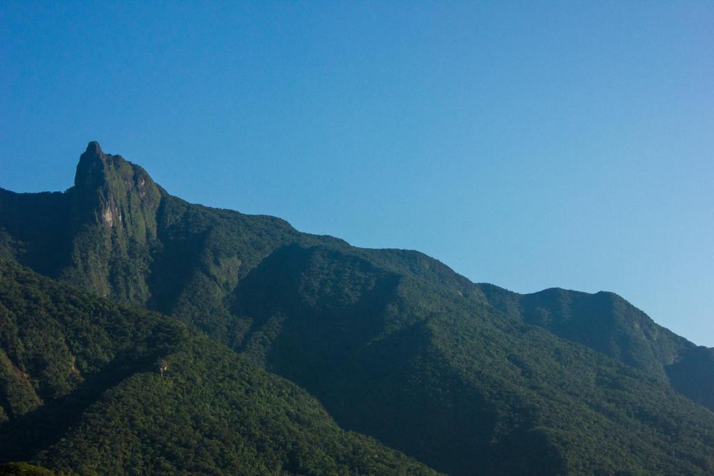  Casa Hospedaria Pássaro Proibido / Ubatuba