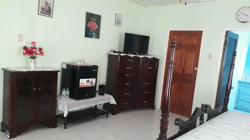 sala de estar con muebles y TV en la pared en Suzette's Homestay, en Lucea