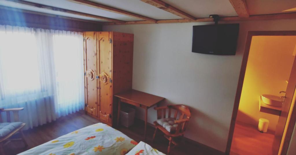 TV a/nebo společenská místnost v ubytování Pension Sonne
