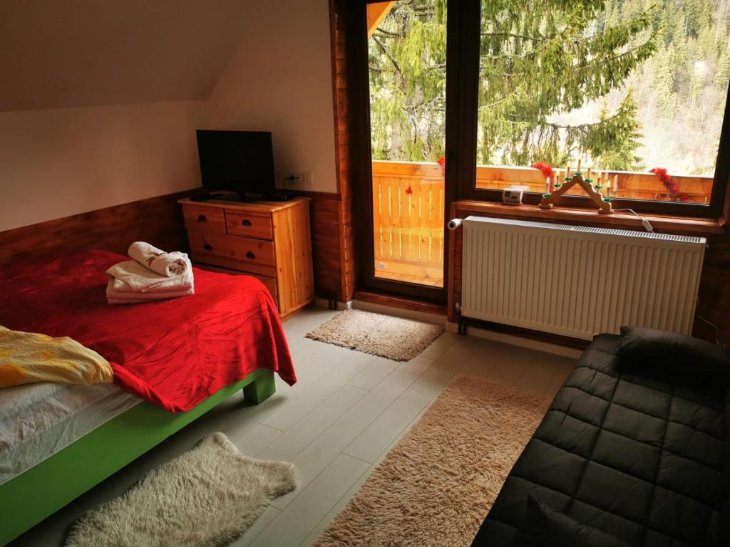 a bedroom with a bed and a television and a window at Cabana "Trei Brazi " Retezat in Râu de Mori