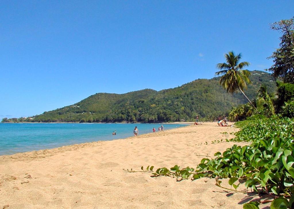 ชายหาดของอพาร์ตเมนต์หรือชายหาดที่อยู่ใกล้ ๆ