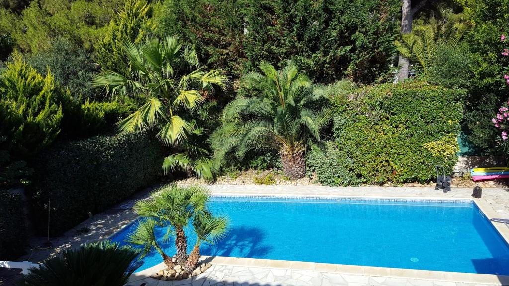 カップ・ダグドにあるVilla de 4 chambres avec piscine privee jardin clos et wifi a Agde a 1 km de la plageのヤシの木や茂みのある青いスイミングプール