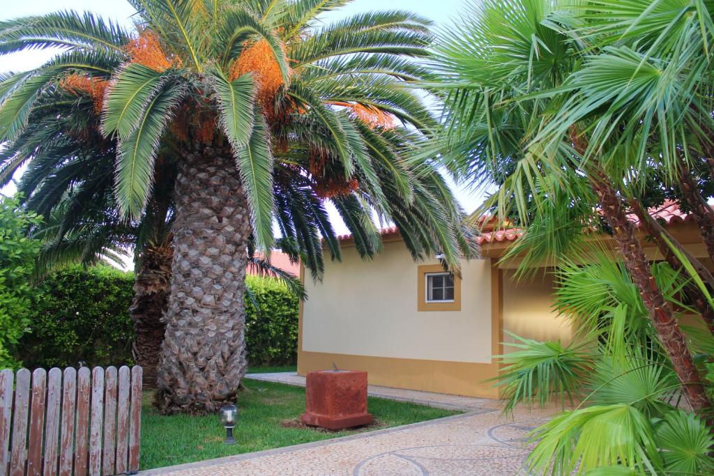 ポルト・サントにある3 bedrooms house at Porto Santo 500 m away from the beach with enclosed garden and wifiの家の前のヤシの木