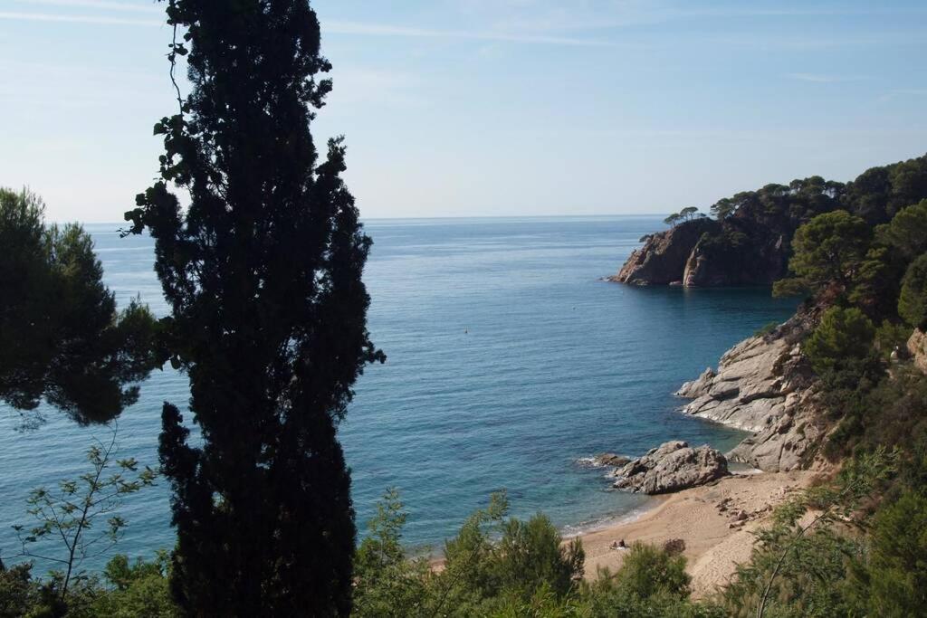 Vakantiehuis Kerstin Bruns - Casa Antonieta with sea view ...