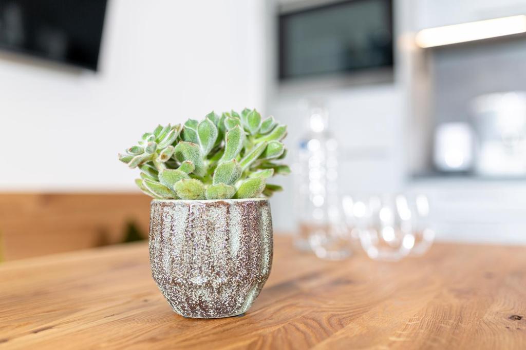 Apartment Rainer - mittendrin - 12