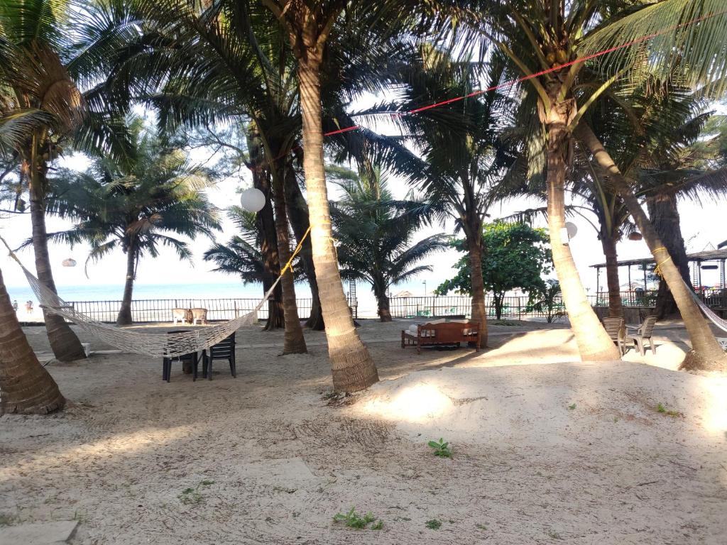 Фотография из галереи Silent Beach Resort в Мандреме
