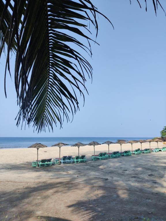 Фотография из галереи Silent Beach Resort в Мандреме