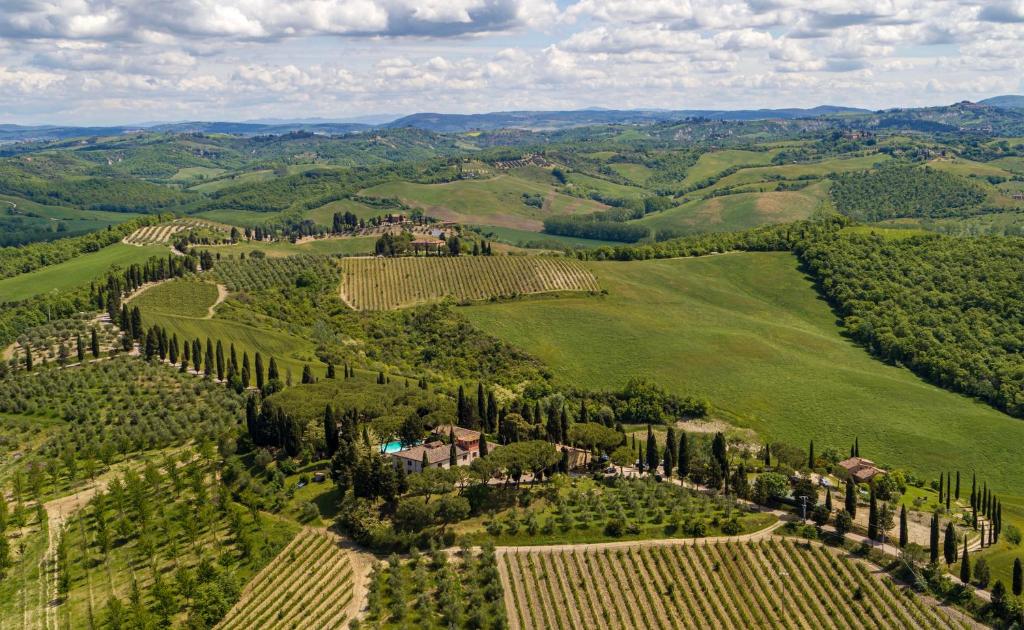 an aerial view of a vineyard in a green field at Agriturismo Pieve Sprenna in Buonconvento