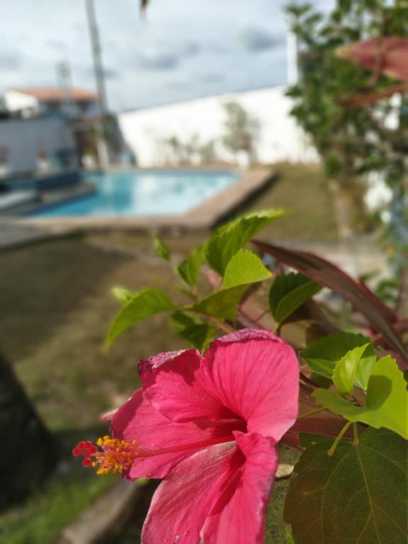  Casa na Barra - piscina e área externa excelentes